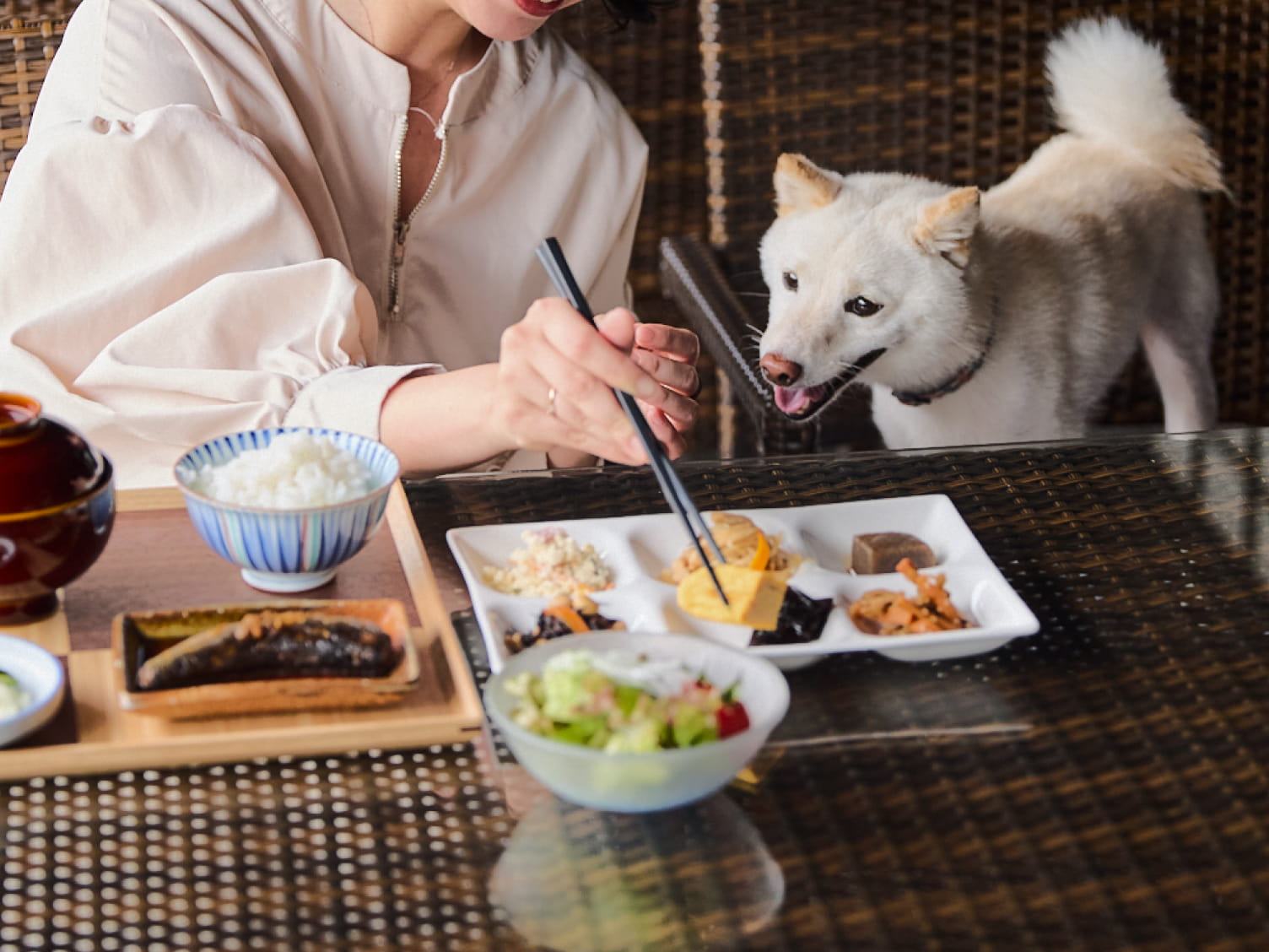 愛犬と共に朝ごはんを食べる様子