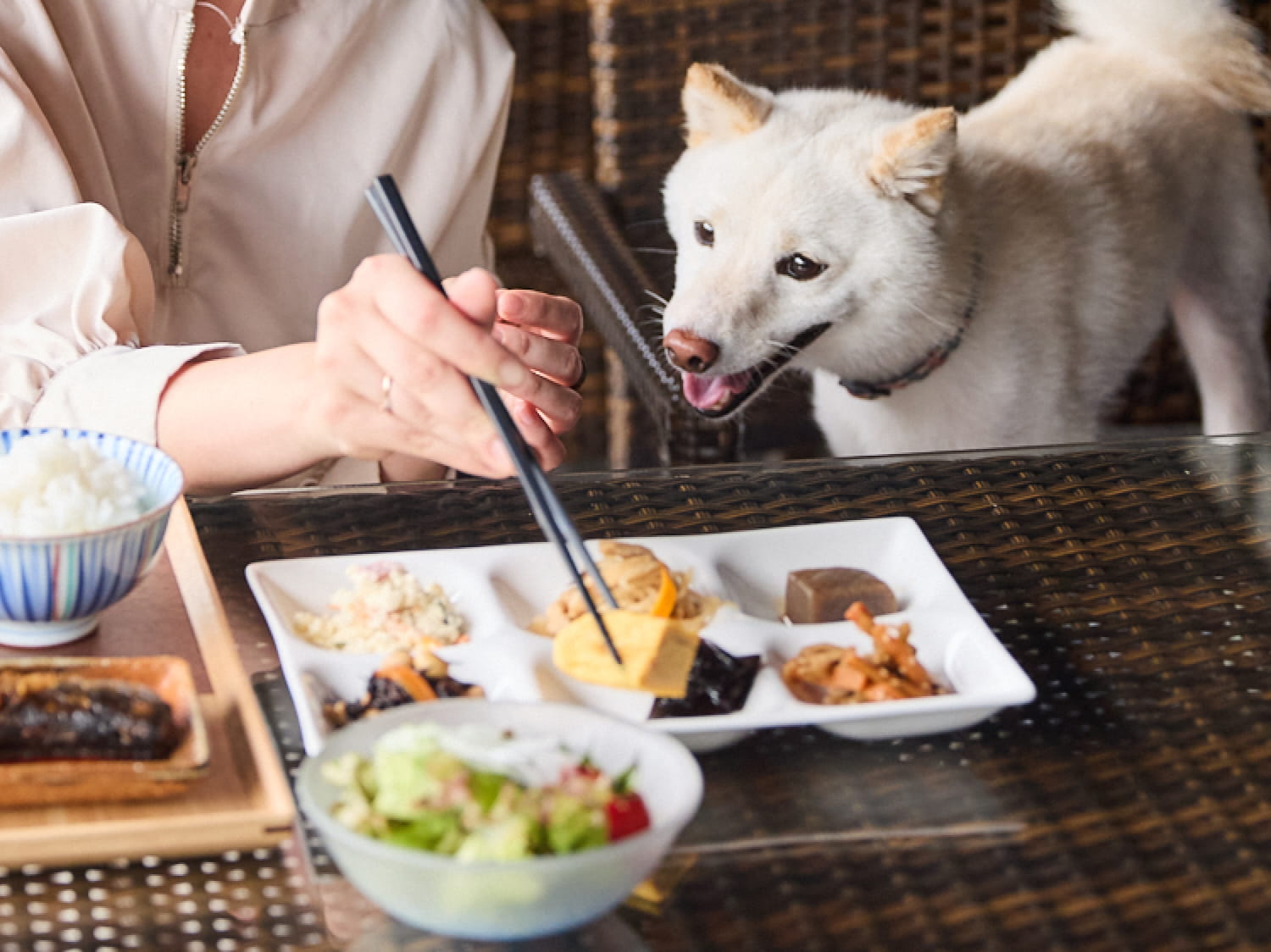 愛犬と共に朝ごはんを食べる様子